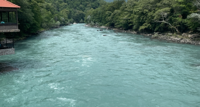 Вот чем нас кормят в Абхазии - семейная пара абхазов рассказала всю неприкрытую правду про продукты