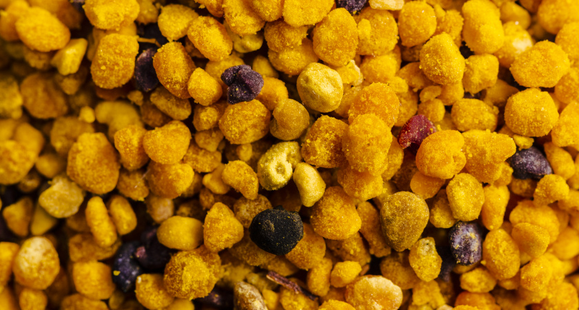 Японцы не просто так живут до 100 лет: они едят этот продукт, а в России его ненавидят