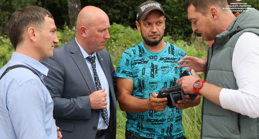 Коми перенимает опыт Подмосковья в борьбе с борщевиком Сосновского