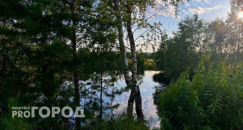 Коми накроют грозы и дожди 24 июля