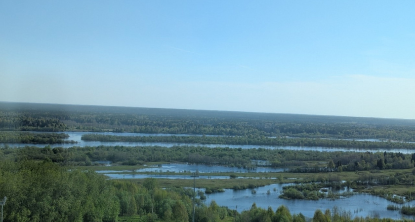 Как в Коми берегут «краснокнижников»