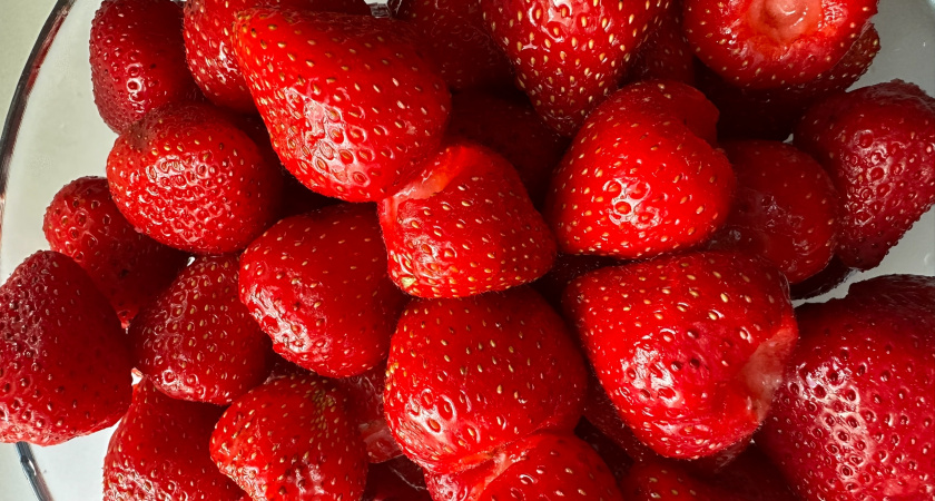 Пот и слезы в клубничном "рабстве": финская клубника оказалась не такой сладкой —  честный отзыв туриста о сезонной работе в Европе