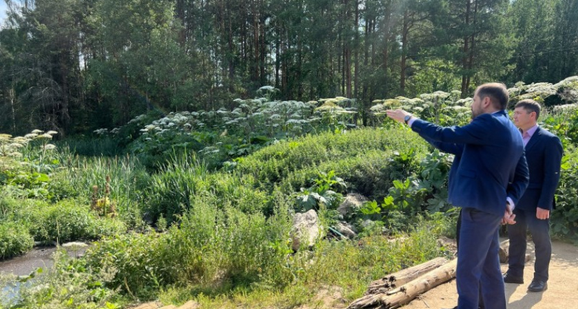 В Коми устраняют несанкционированные свалки и решают лесные споры