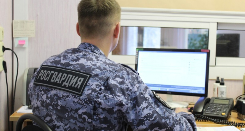 Росгвардия в Коми выявила 10 нарушений правил оборота оружия и 18 – в сфере охранных услуг