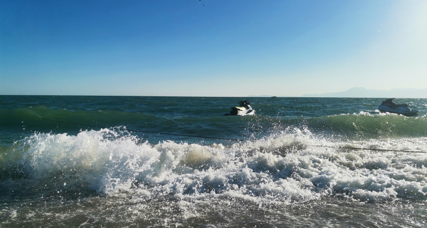 "Купаться невозможно, все сидят на берегу": Азовское море преподнесло неприятный сюрприз отдыхающим