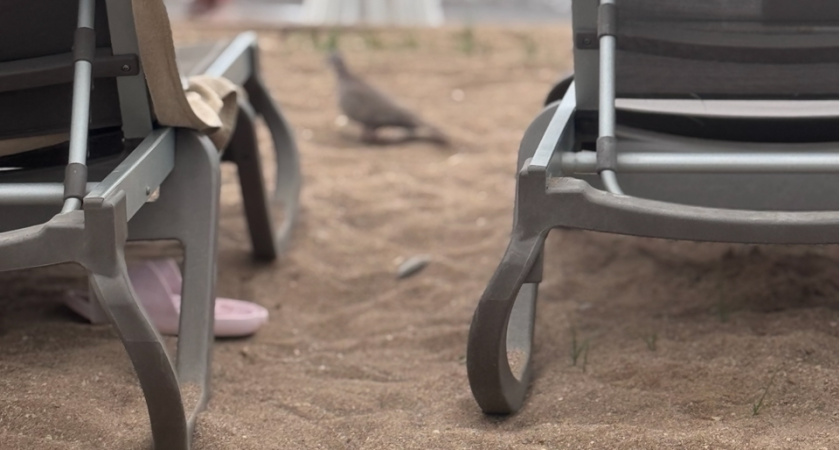 Русские Мальдивы: назван идеальный курорт для отдыха летом с прозрачным морем и белым пляжем