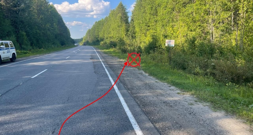 В Коми автоледи попала в ДТП, не справившись с управлением