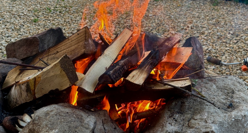 В десяти районах Коми введен особый противопожарный режим