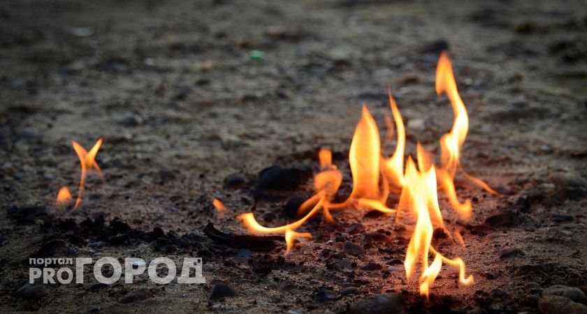 В Коми из-за гроз возник пожар в лесу