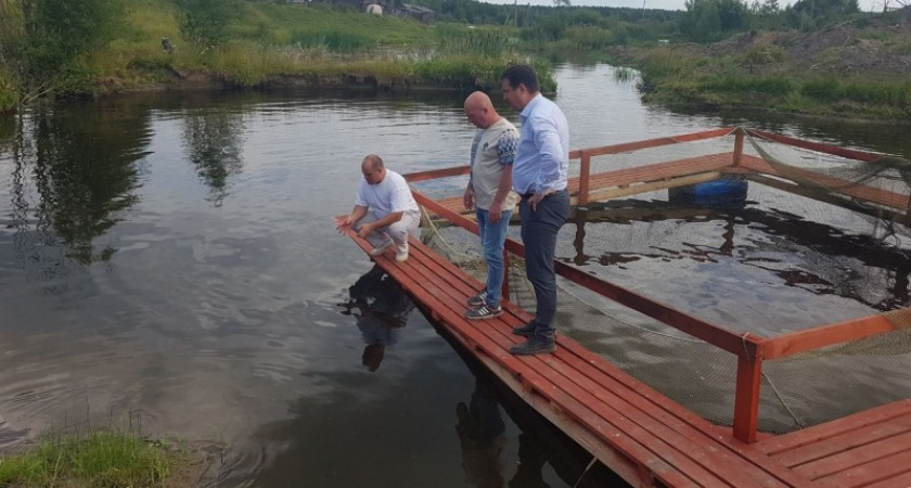 Фермер из Коми создаст агротуристический комплекс в селе