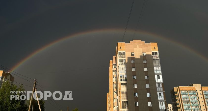 В Коми прогремят грозы: синоптики обещают жару 5 августа