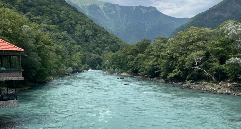 Вот чем нас кормят в Абхазии - семейная пара абхазов рассказала всю неприкрытую правду про продукты
