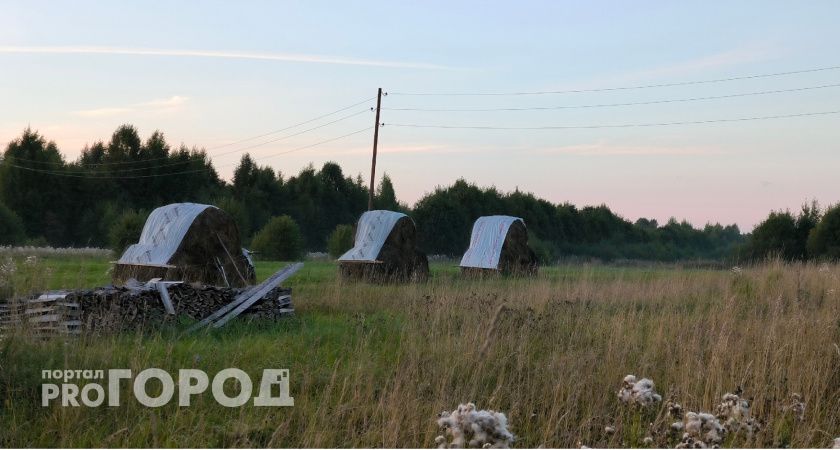 В Коми заготовили 70% сена и сенажа, несмотря на сложные условия