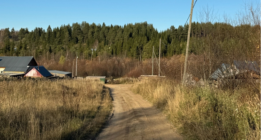 Почему самое выгодное занятие в деревне не сельское хозяйство: что придумали два пенсионера, переехавшие в глухое село
