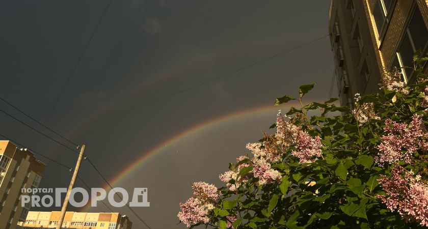 Короткие дожди и грозы ожидаются в Республике Коми 13 августа