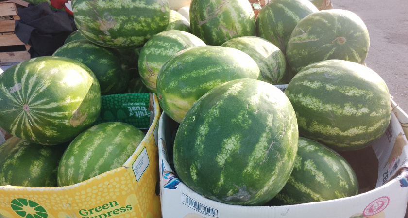 На рынках появились арбузы из Ирана: почему продавцы называют их "нежданчики" и как их нужно есть