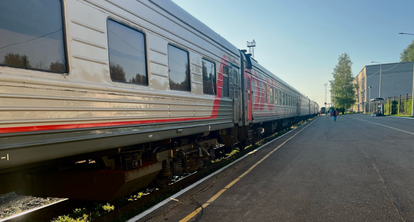 "Попутчица была с попугаем, котом и собакой, ночью кот залез на меня": как я ехал в купе со зверинцем