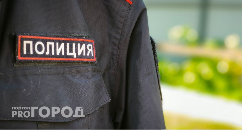 В Коми полицейские задержали угонщика "девятки", укравшего магнитолу и телефон