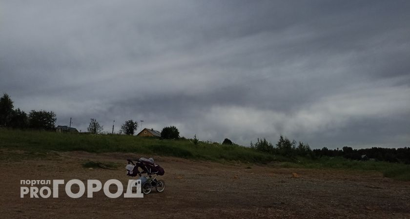 В Республике Коми 1190 семей получают ежемесячные выплаты в связи с рождением третьего или последующих детей