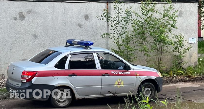 В Коми женщина пыталась украсть мясо из магазина: Росгвардия задержала воровку