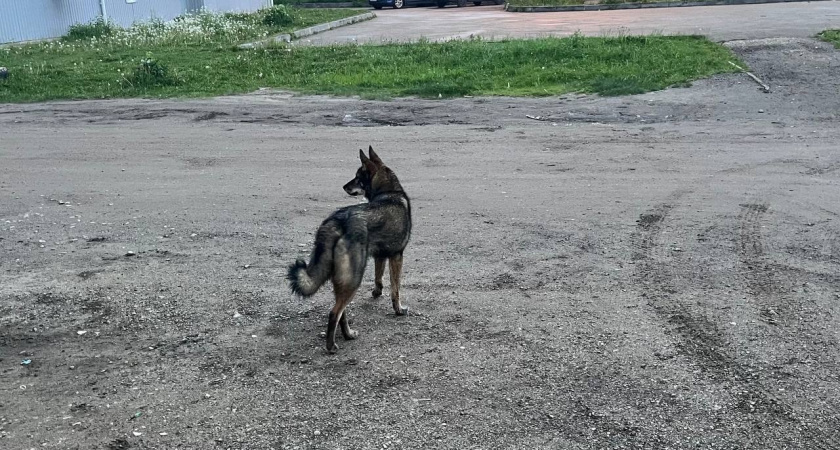 В одном из городов Коми бывший начальник управления ЖКХ вернул в казну полмиллиона