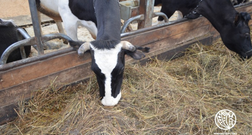 В Коми почти выполнили план по заготовке сена 