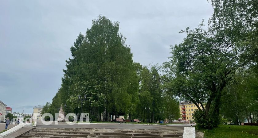 В Коми 20 августа ожидаются дожди