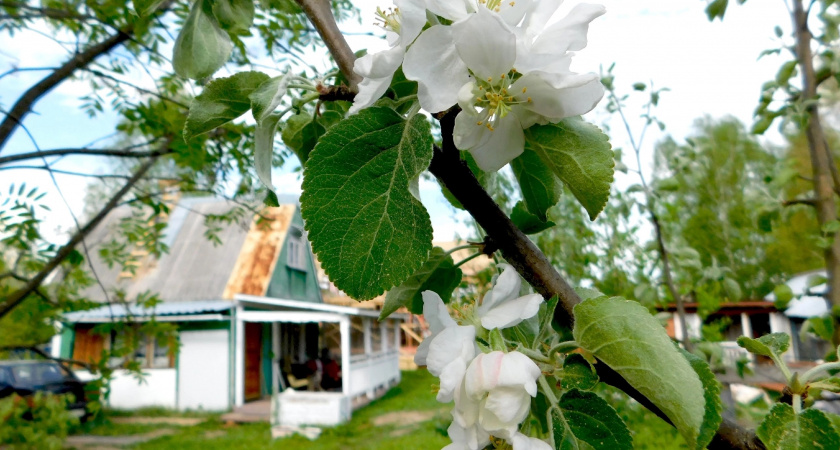 10 вещей в доме, которые не замечают хозяева, но видят гости