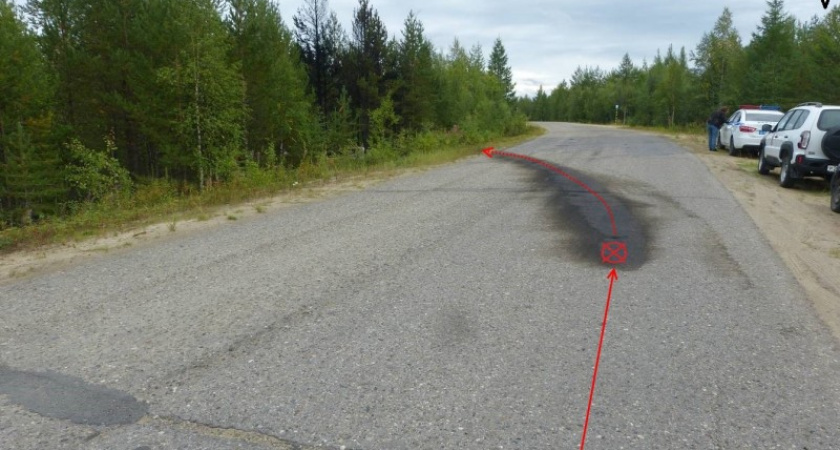 В Коми на трассе загорелась иномарка 