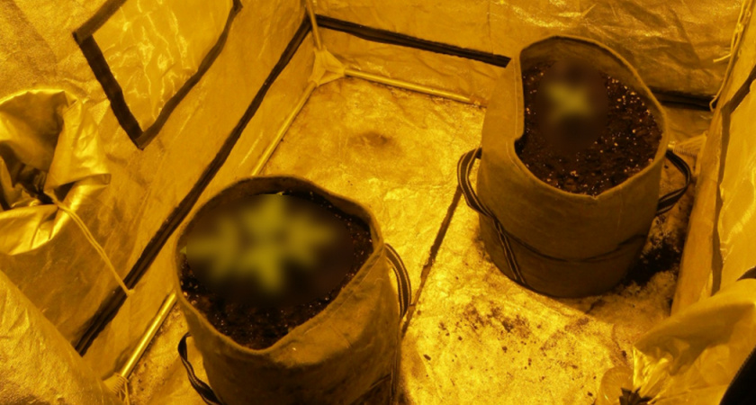 В квартире жителя Заполярья обнаружили целую палатку с наркотиками