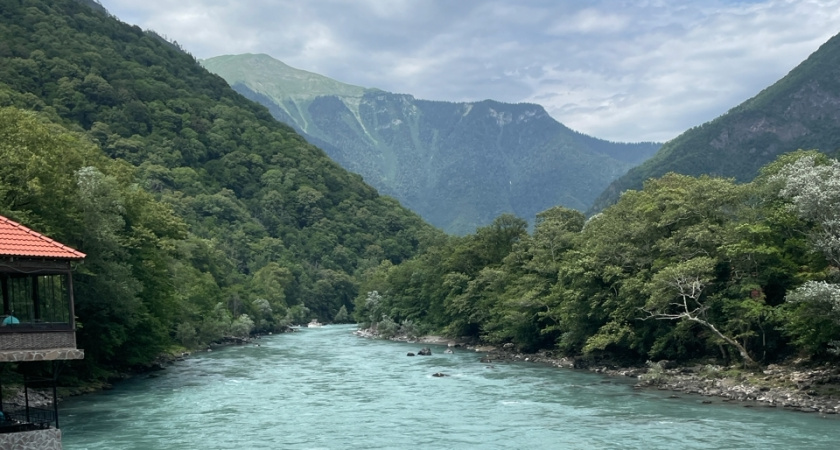 Вот чем нас кормят в Абхазии - семейная пара абхазов рассказала всю неприкрытую правду про продукты