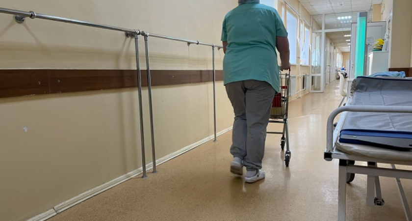 Долгожданный перинатальный центр появится в Сыктывкаре: регион получит современный роддом