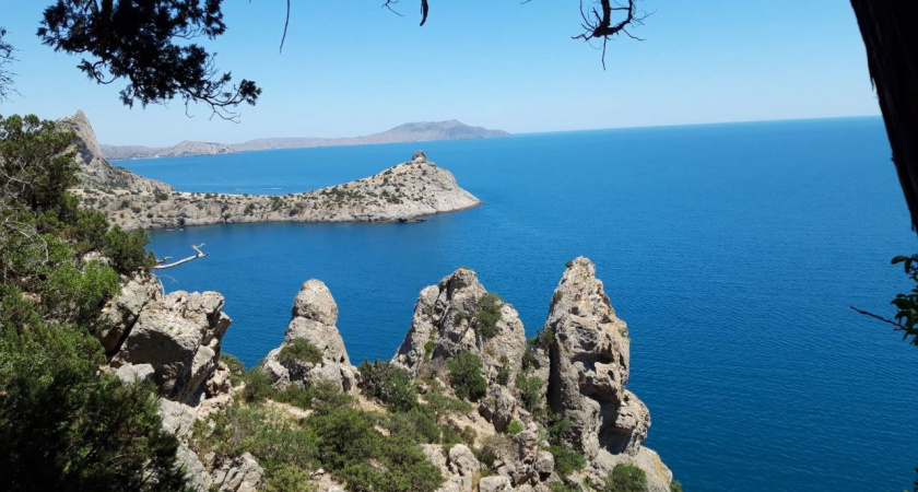 Море не море и жизнь не жизнь: уехала из Сочи в деревню — почему самый дорогой город России не подходит для жизни