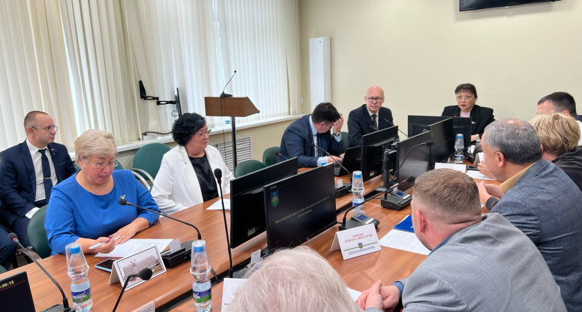 Мэр Сыктывкара  Владимир Голдин ушел в отставку 