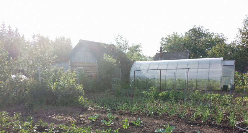 3 ложки на кучу — перегниют даже толстые ветки: как приготовить компост за один сезон — рецепт от агронома