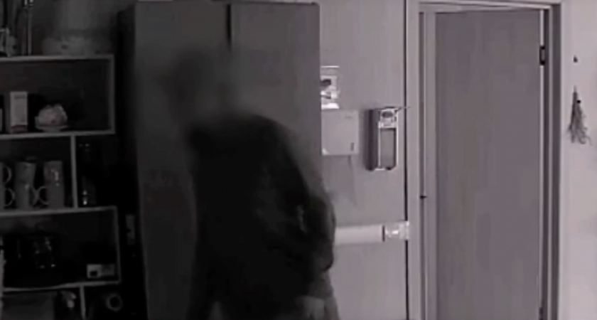 В Сыктывкаре полиция задержала офисного вора благодаря видеокамере 