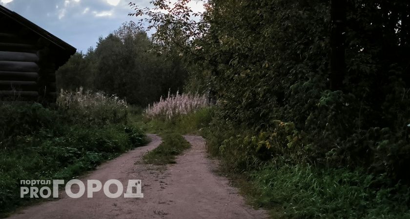 В Коми 28 августа похолодает до +8 градусов 