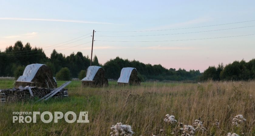В Коми почти завершили заготовку кормов