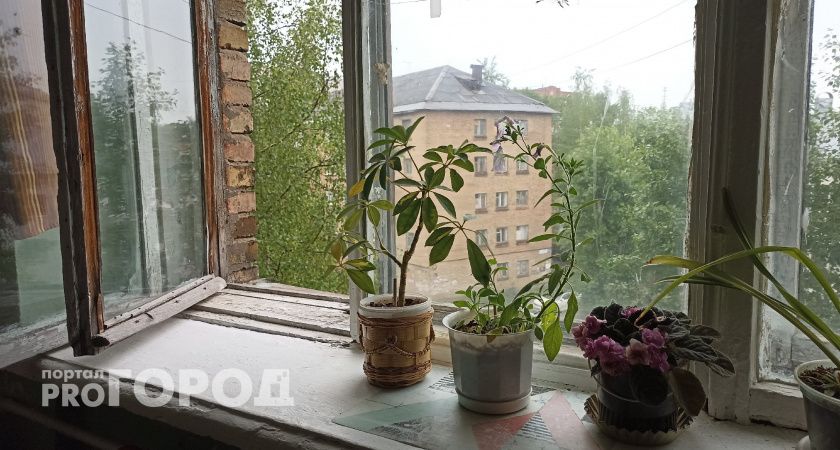 Проверила старую советскую хитрость: для пышного цветения положить в горшок дешёвое лекарство