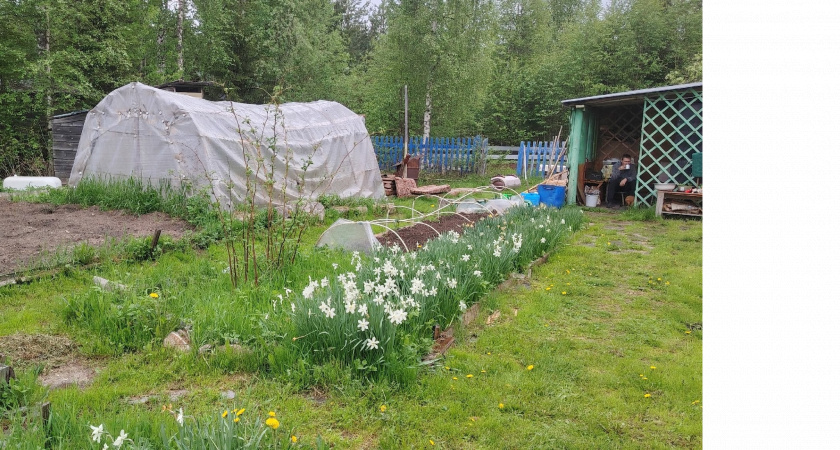 Вливаем отходы в нору — про крота навсегда забываем: как гуманно прогнать назойливого крота с участка