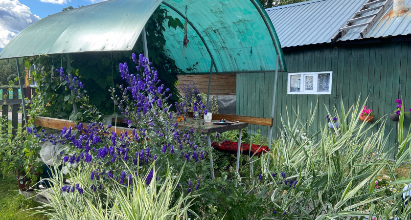 Сидераты хоть осенью, хоть весной малоэффективны и даже вредны. Отказалась от них