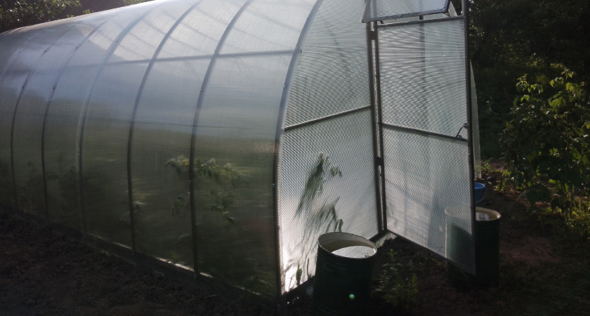 Три ложки на грядку— перегниют даже ветки и кости: быстрый компост без всяких хлопот — земля будет как пуховая перина