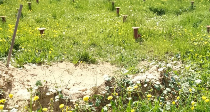 Сыктывкарец погасил долг перед банком чтобы сохранить арестованный участок