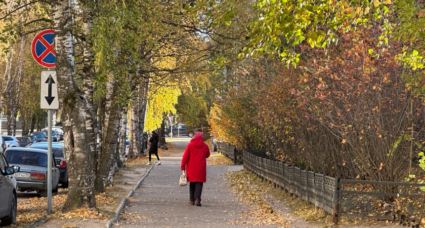 Если вам 45-70 лет: всего 1 чайная ложка в день и 4 привычки, и ум останется острым как бритва — рекомендации академика Микулина