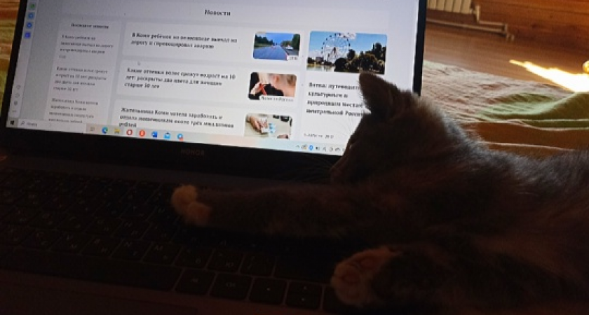 В Коми онлайн-образование набирает обороты