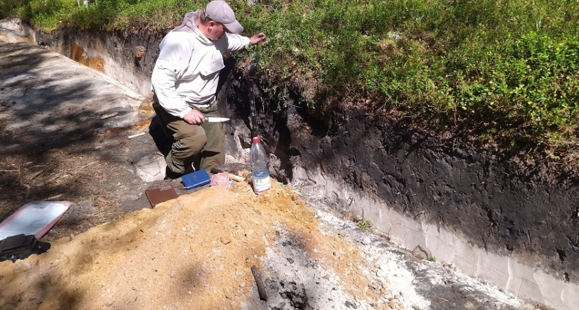 В почвах Коми нашли гигантские запасы углерода антропогенного происхождения