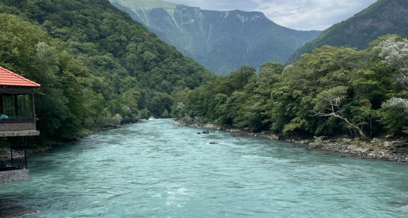 Вот чем нас кормят в Абхазии - семейная пара абхазов рассказала всю неприкрытую правду про продукты