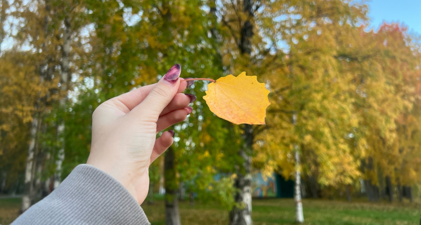 В Коми 15 сентября ожидается теплая погода до +20 градусов