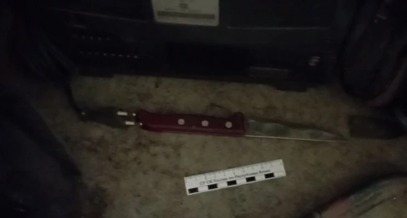 В Сыктывкаре мужчина задержан за убийство родственницы