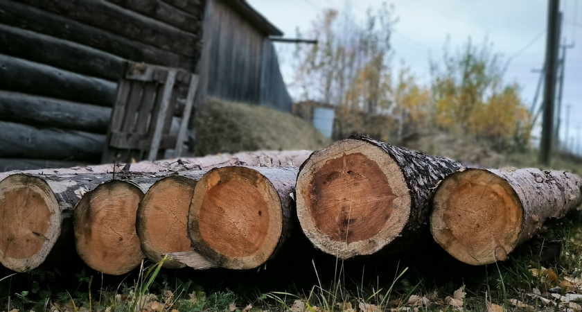 В Коми вырос экспорт лесопродукции в Азию и Африку